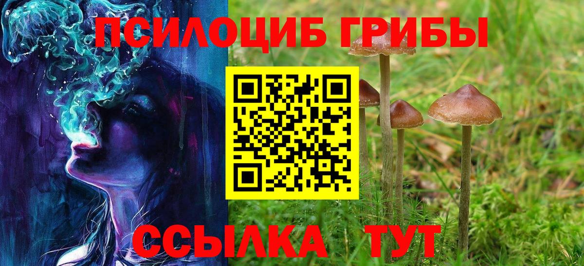 Галлюциногенные грибы GOLDEN TEACHER  Вход с VPN  Псилоцибиновые грибы MAGIC MUSHROOMS  Калач-на-Дону 