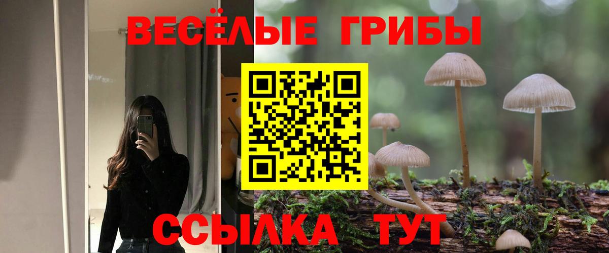Галлюциногенные грибы ЛСД Калач-на-Дону